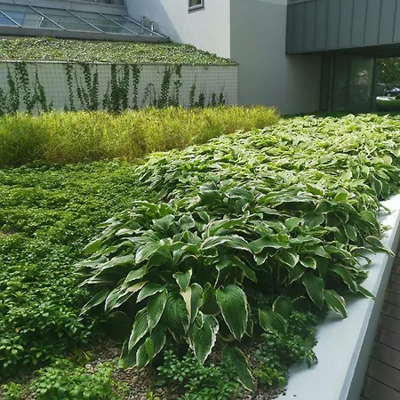 Apartment 317 W Royal Tuli Prywatny Przy Plazy Z Aneksem Kuchennym *