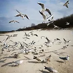 Lägenhet 317 W Royal Tuli Prywatny Przy Plazy Z Aneksem Kuchennym Kołobrzeg