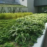 Apartment 317 W Royal Tuli Prywatny Przy Plazy Z Aneksem Kuchennym *