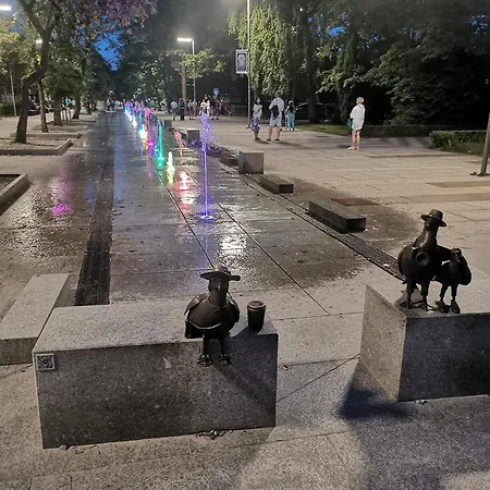 317 W Royal Tuli Prywatny Przy Plaży Z Aneksem Kuchennym Apartament Kołobrzeg