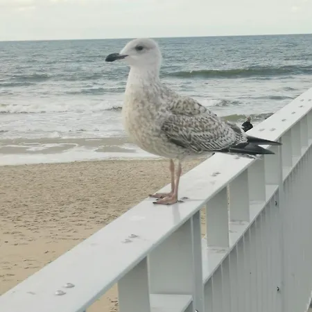 317 W Royal Tuli Prywatny Przy Plaży Z Aneksem Kuchennym * Kołobrzeg