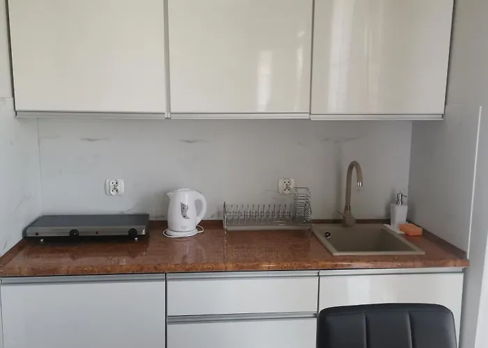 317 W Royal Tuli Prywatny Przy Plaży Z Aneksem Kuchennym Apartament Kołobrzeg