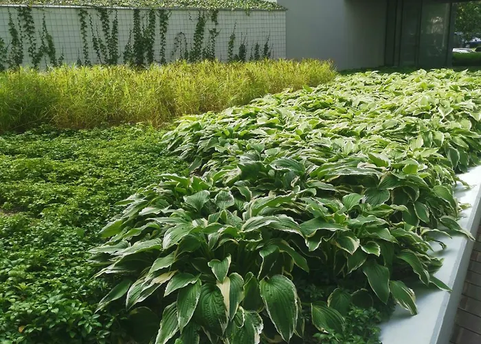 Apartament 317 W Royal Tuli Prywatny Przy Plaży Z Aneksem Kuchennym *