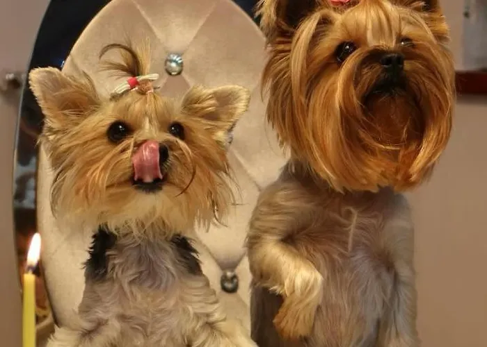 317 W Royal Tuli Prywatny Przy Plaży Z Aneksem Kuchennym Apartament