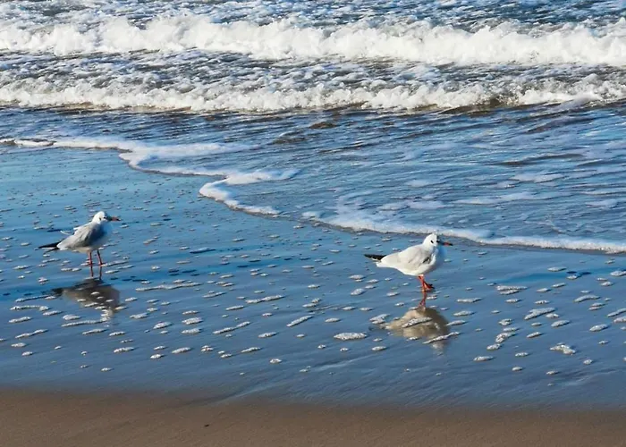 317 W Royal Tuli Prywatny Przy Plaży Z Aneksem Kuchennym Apartament